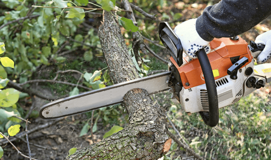 Royse Tree Service 
