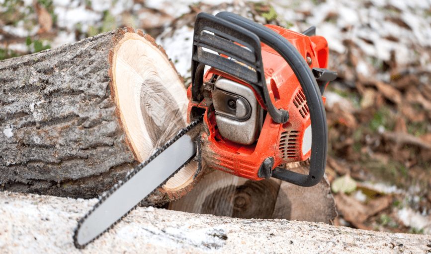 Royse Tree Service 